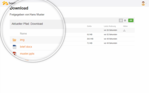 File Drive von Metanet